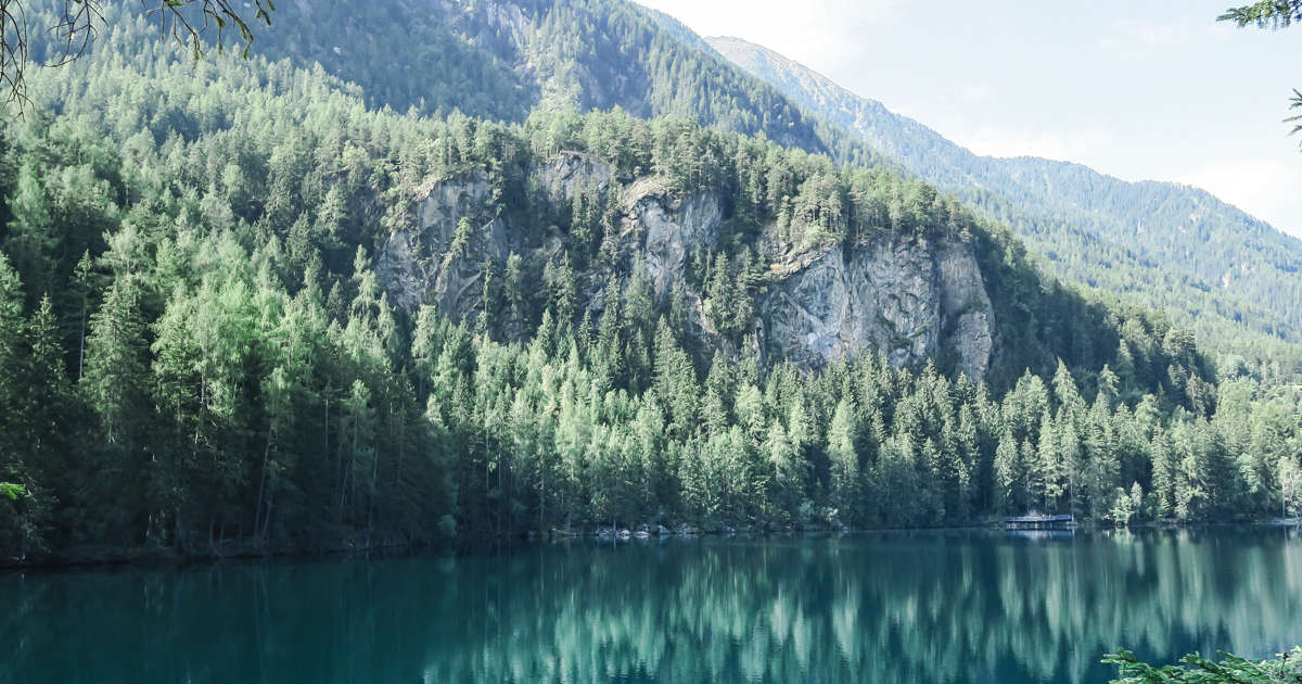 AlpineJS – a lightweight alternative to Vue